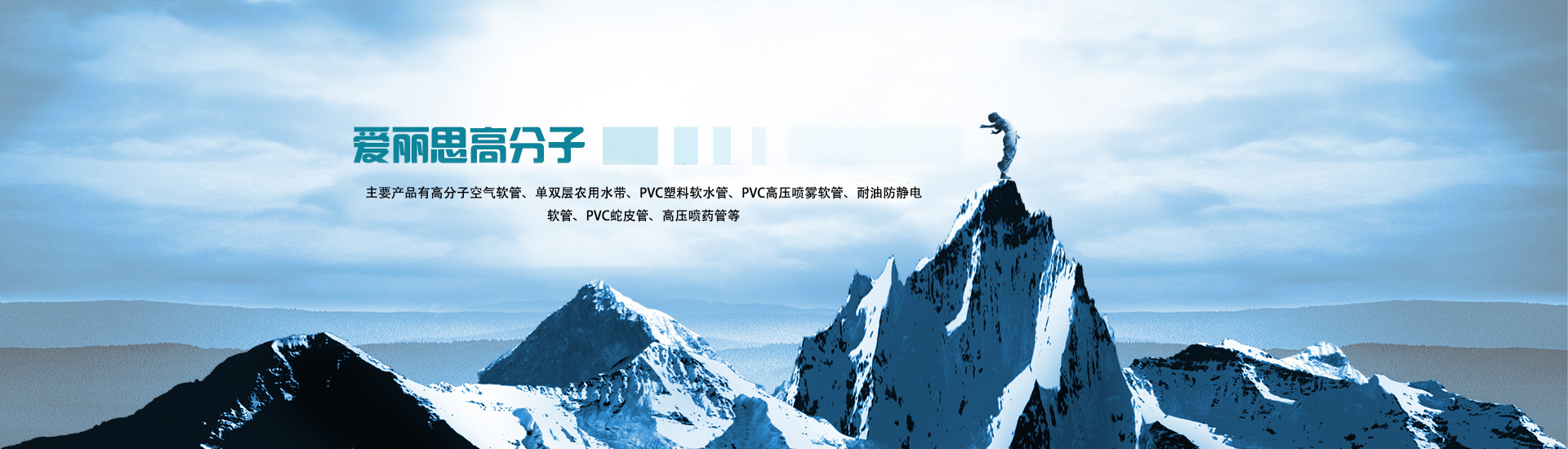 濰坊愛麗思高分子科技有